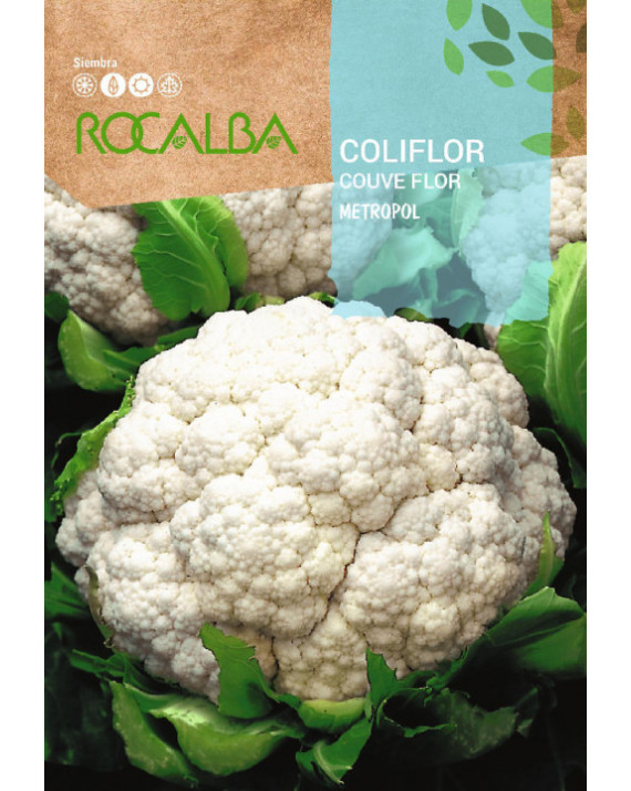 ROCA COLIFLOR METROPOL SHBN0565