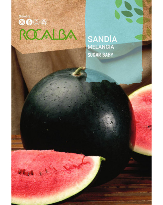 ROCA SANDIA SUGAR BABY SHBN1400