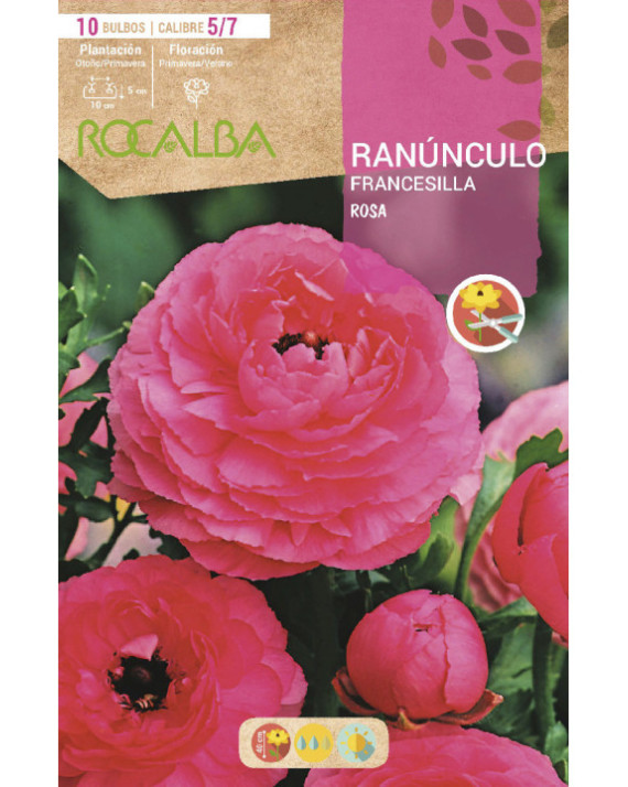 ROCA RANUNCULOS ROSA BOLSA EBRF6115